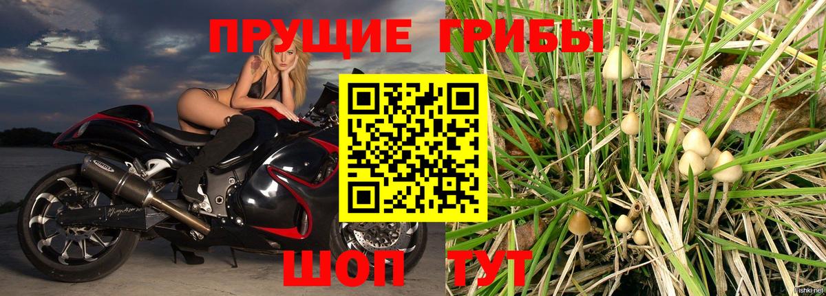 Минеральные Воды  Псилоцибиновые грибы мицелий  Вход с VPN 