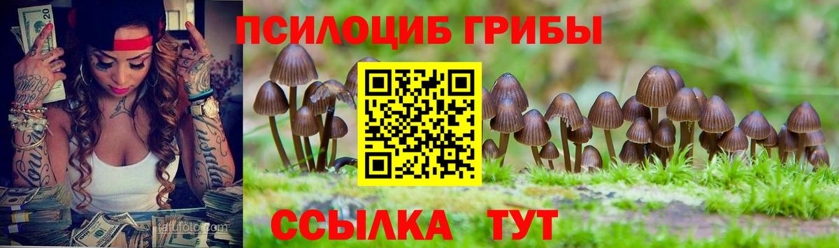 Галлюциногенные грибы мицелий Минеральные Воды
